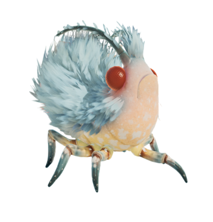 Woolly Aphid